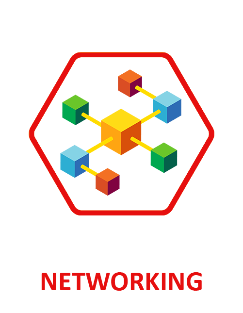 networking graphic